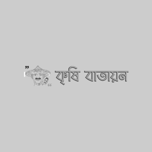 মেটেআলুর পাতার দাগ রোগ